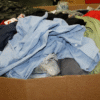 clothing wholesale pallets